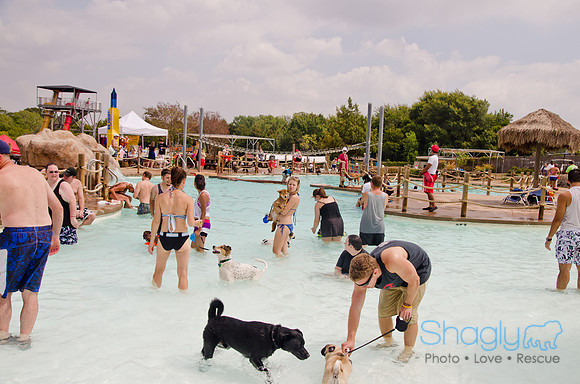Wags and Waves 2011-347