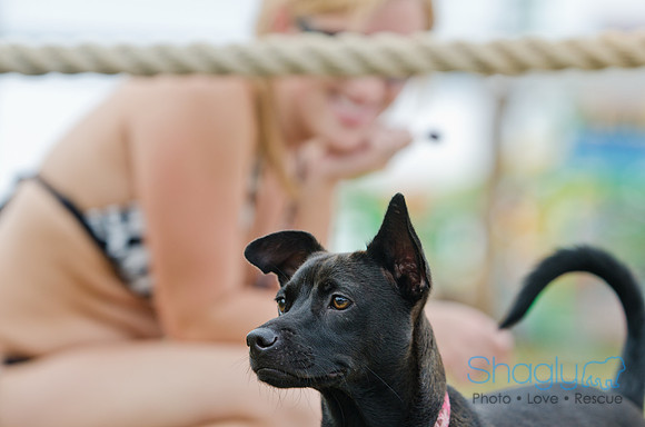 Wags and Waves 2011-115