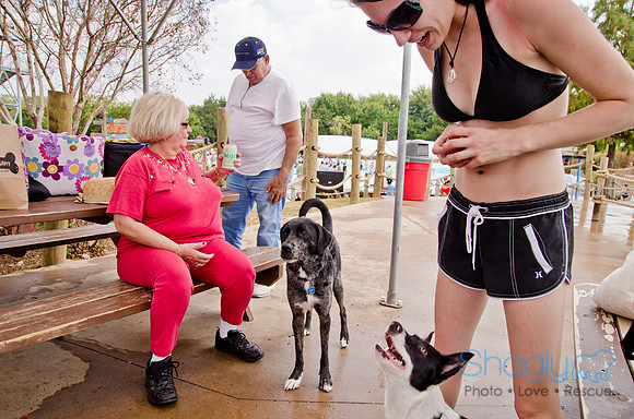 Wags and Waves 2011-238