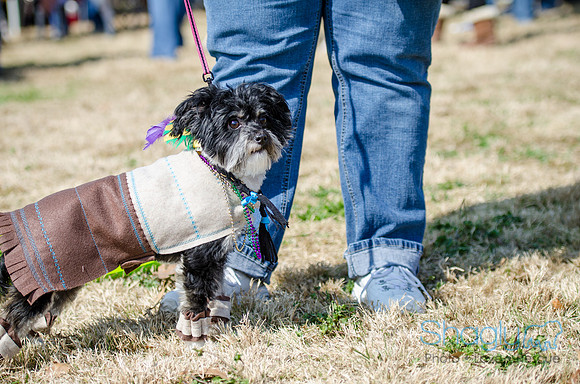 Krewe of Barkus 2012-108