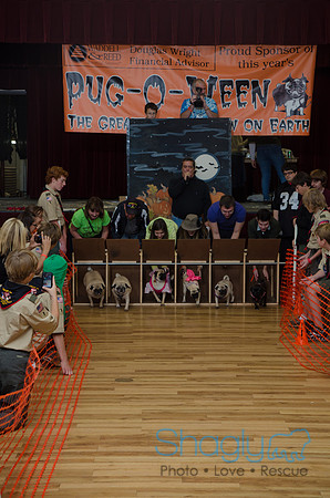 PugOween-5