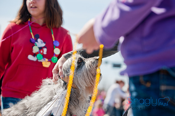 Krewe of Barkus 2011-105