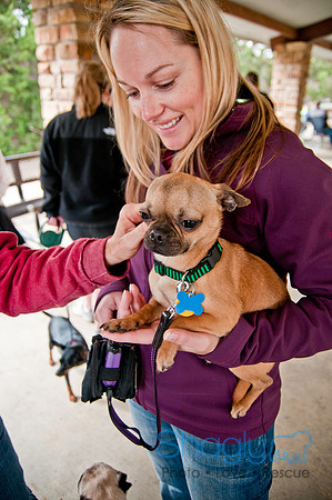 Pug Love Fun Run-79