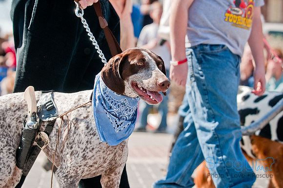Krewe of Barkus 2011-109