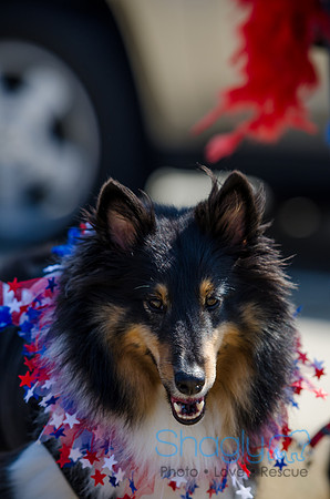 Krewe of Barkus 2012-91