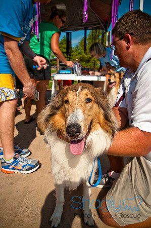 Wags and Waves-31