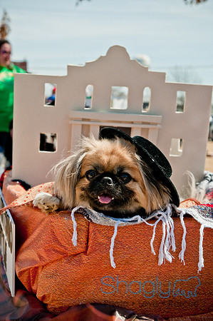 Krewe of Barkus 2011-5