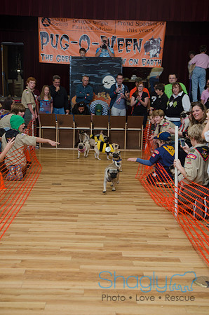PugOween-2