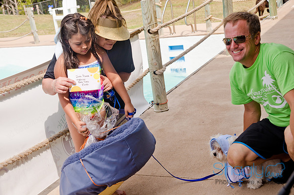 Wags and Waves 2011-414