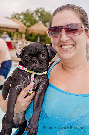 Wags and Waves 2011-208