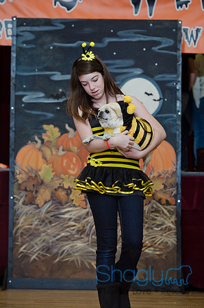 PugOween-119