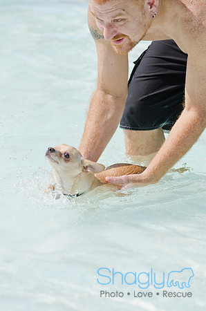 Wags and Waves 2011-453