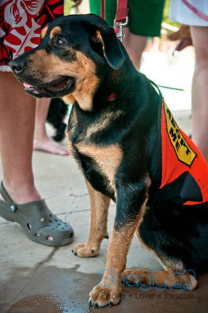 Wags and Waves-325