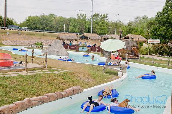 Wags and Waves 2011-331