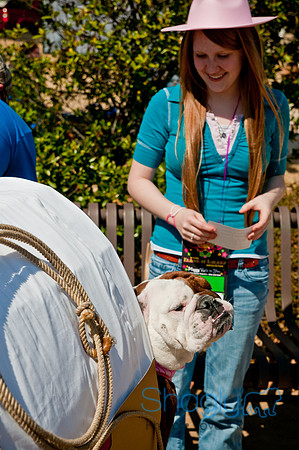 Krewe of Barkus 2011-4