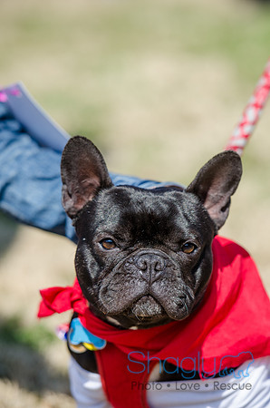 Krewe of Barkus 2012-105