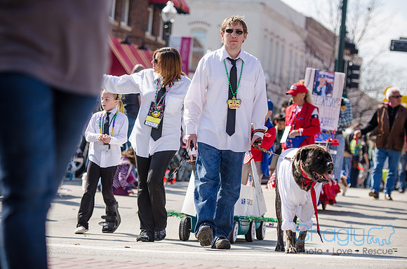 Krewe of Barkus 2012-240