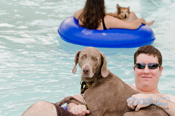 Wags and Waves 2011-100