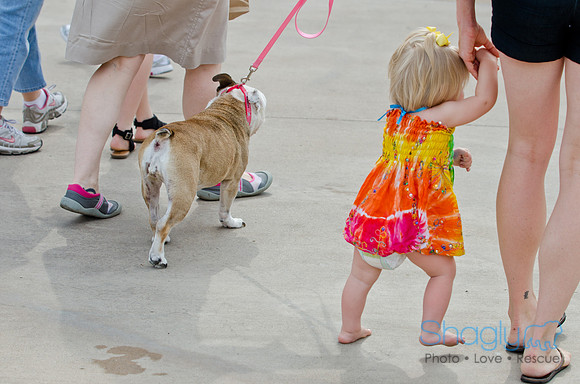 Wags and Waves 2011-60