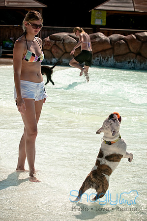 Wags and Waves-161