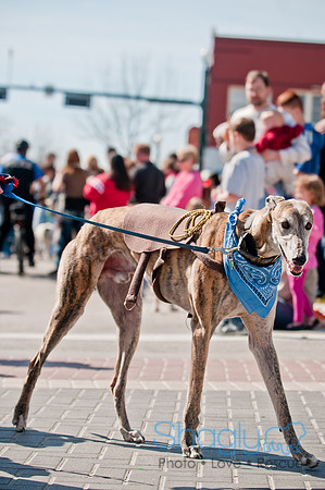 Krewe of Barkus 2011-112