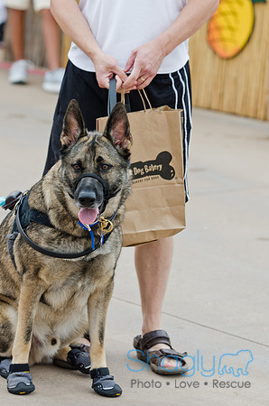 Wags and Waves 2011-55