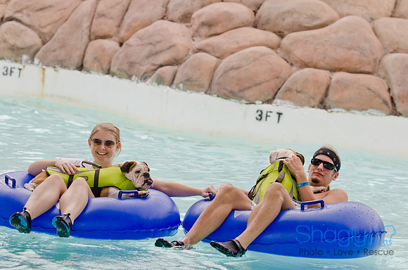 Wags and Waves 2011-107
