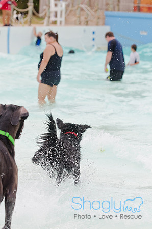 Wags and Waves 2011-161