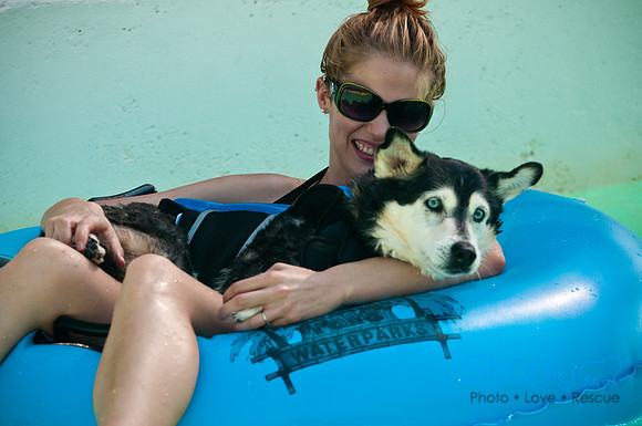 Wags and Waves-81