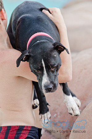 Wags and Waves 2011-480