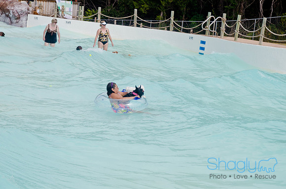 Wags and Waves 2011-423