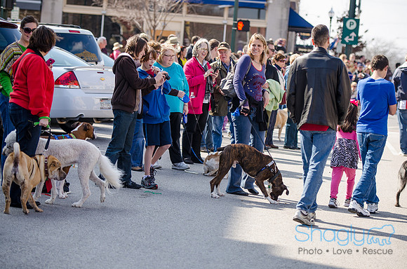 Krewe of Barkus 2012-276