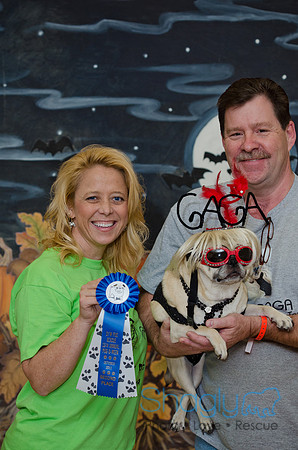 PugOween-153