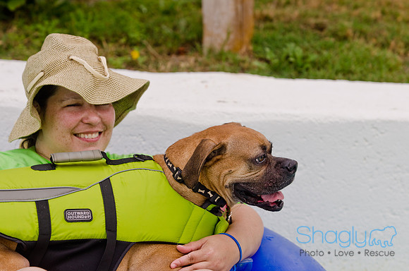 Wags and Waves 2011-104
