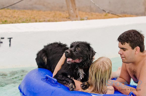 Wags and Waves 2011-119
