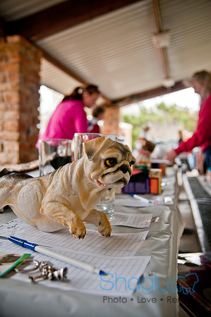 Pug Love Fun Run-67