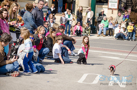 Krewe of Barkus 2012-271
