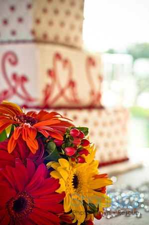 Talia and Ramon Wedding-252