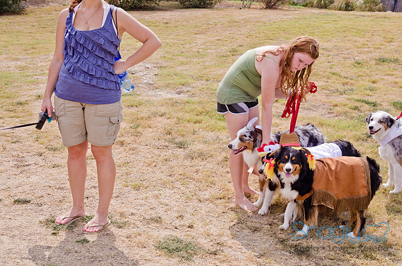 Wags and Waves 2011-392