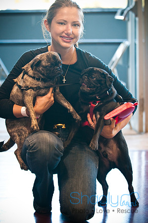 PugOWeen-3666