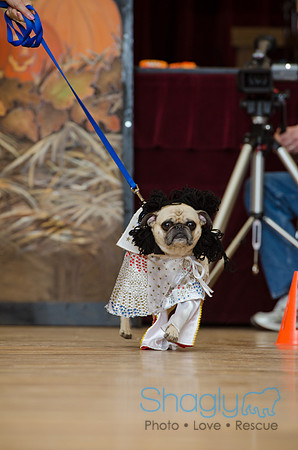 PugOween-24