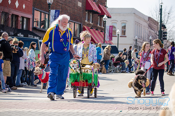 Krewe of Barkus 2012-199