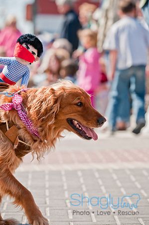 Krewe of Barkus 2011-122