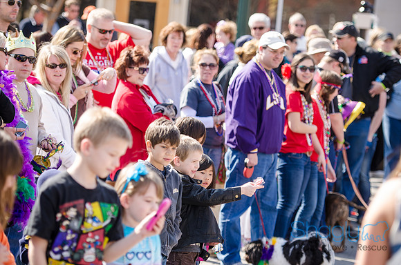 Krewe of Barkus 2012-279