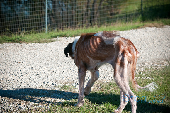 St.Clouds Rescue-0425
