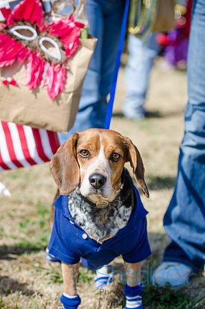 Krewe of Barkus 2012-110