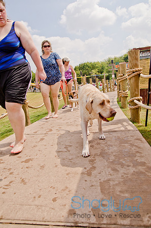 Wags and Waves 2011-242
