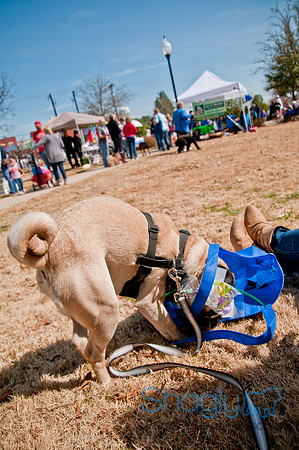 Krewe of Barkus 2011-44