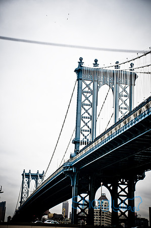 New York-5365