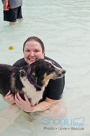 Wags and Waves 2011-349